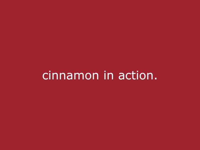 Roter Hintergrund mit beiger Schrift „cinnamon in action“, modernes Statement für Eventgeschichten, Erfahrungen und besondere Einblicke im cinnamon Blog